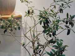 -Onirii Coffee(长乐路店)