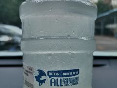 -蔻蔻椰·鲜萃椰子水(COCO Park店)