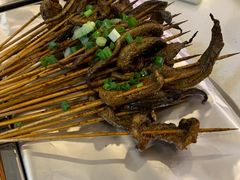 鳝鱼-晓靖轩烧烤(沙河风情店)