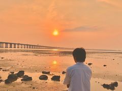 -宝安西湾红树林湿地公园