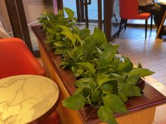 -COSTA COFFEE(新奥购物中心店)