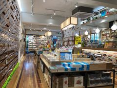-猫的天空之城概念书店(束河店)