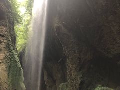 -陈昌银麻花(嘉陵江滨江路店)