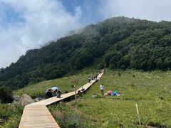 -白草畔自然风景区