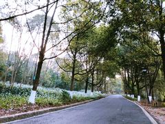 -富乐山