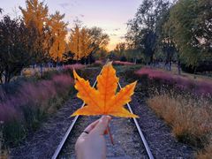 -永定河休闲森林公园