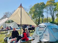 -春花秋色城市公园