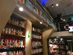 -猫咪博物馆(顶澳仔猫街店)