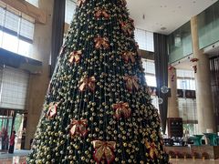 -厦门源昌凯宾斯基大酒店