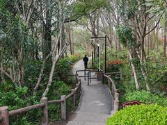 -新江湾城公园