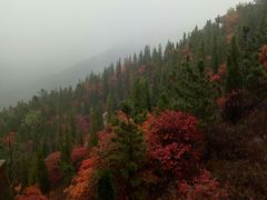 -龙口南山旅游景区