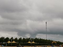 -呼兰河口湿地公园