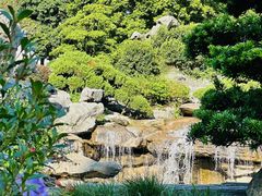 -东莞植物园