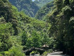 -神龙峡风景区