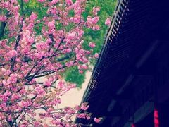 -长影旧址博物馆