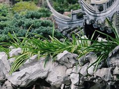 -豫园
