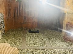 -沐熙汤泉(新安里店)