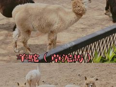 -无锡动物园·太湖欢乐园