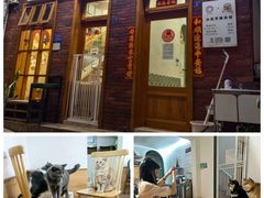-是阿柴呀！柴犬咖啡·爱喵喵猫咖