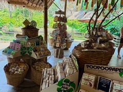 -大象粑粑造纸公园