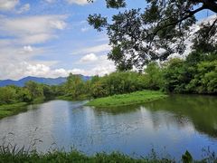 -西溪国家湿地公园