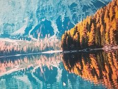 -长白岛森林公园