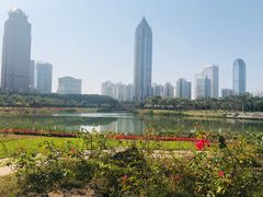 -万绿园