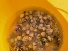 -北海金海湾红树林生态旅游区