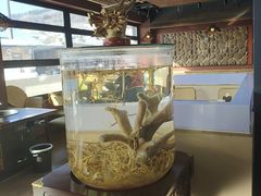 -巧婆婆特色东北菜·铁锅炖