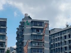 -武汉动物园