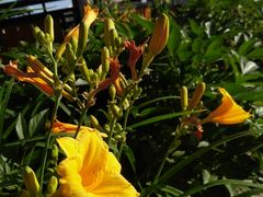 -北京天湖会议中心