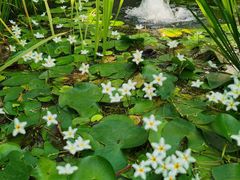 -广州神农草堂中医药博物馆