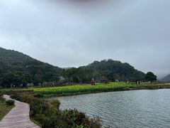 -广州市石门国家森林公园