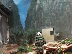 -香港海洋公园