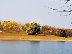 -松山湖风景区松湖烟雨