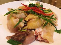 和膳鸡-和膳居饮食有限公司