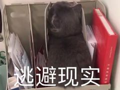 -中国移动(高升桥营业厅)