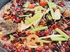 -老板恋上鱼(恒隆广场店)