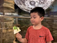 -辽宁古生物博物馆