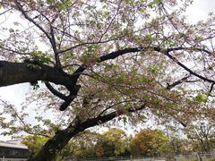-帝京日语(春熙路旗舰校区)