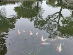 -杭州西湖柳莺里酒店