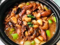 沙窝红烧带膏鱿-许仙楼餐厅