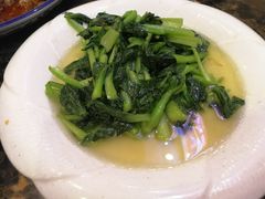 -向塘土鸡店(洪城店)