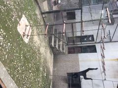 iphone_upload_pic-昆明动物园
