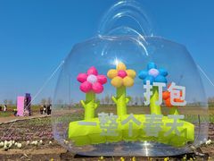 -青岛胶东国际机场