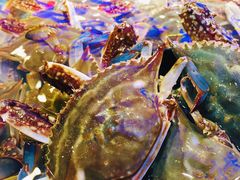 -澜悦港海鲜体验主题餐厅