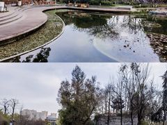 -成都市文化公园