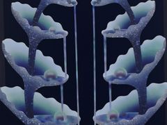 -胶囊画廊
