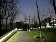 -北京国家会计学院