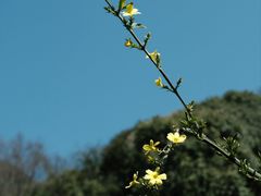 -贵阳市花溪国家城市湿地公园